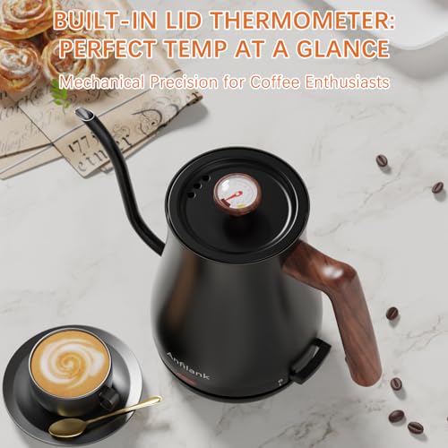 Gooseneck Electric Kettle with Thermometer