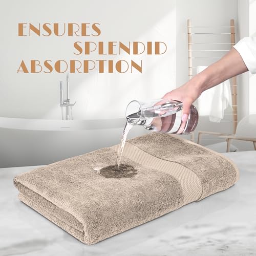Wealuxe Taupe Bath Towels 24x50 Inch (Taupe / Bath Towels 6-Pack, 24x50 Inches)