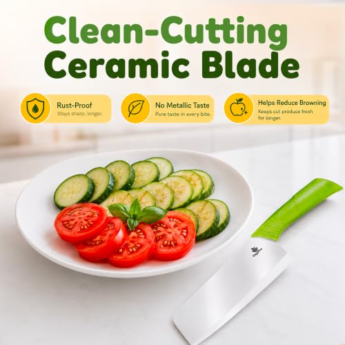 Ceramic Chef Knife (6 inch)