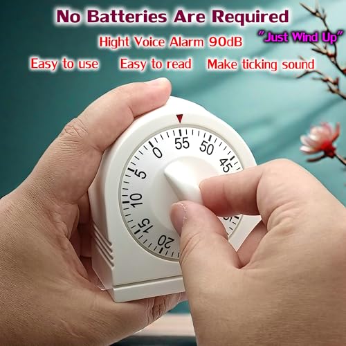 60 Minute Wind Up Timer (2 Pack)