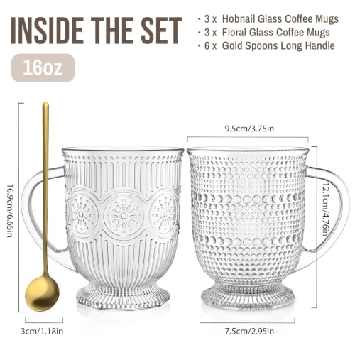 16oz Glass Coffee Mugs with Handle and Spoon Set of 6 Vintage Mug (Hobnail+Floral)