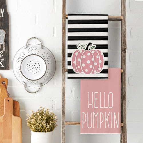 Pink Pumpkin Stripes Fall Kitchen Towels Set of 2 18x26 Inch (Pink)