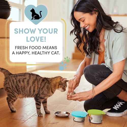 4 Pack Universal Pet Food Can Covers Lids (Blush Breeze / 4 Piece Set)