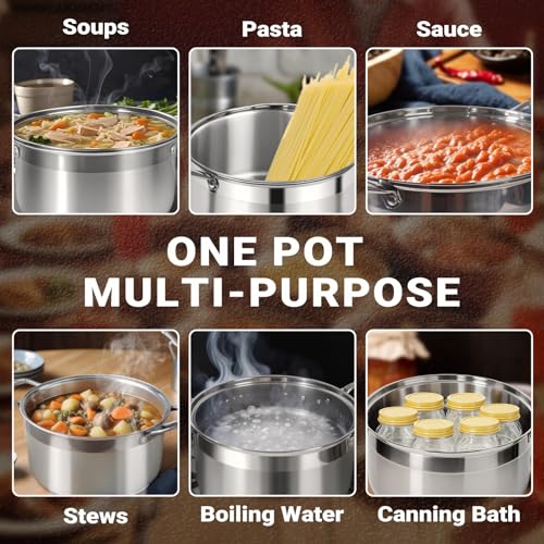 12 Quart Stainless Steel Heavy Duty Stock Pot with Visible Lid (12 Quarts)