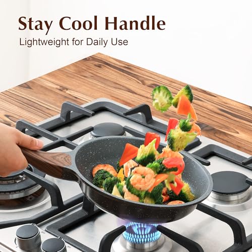 9.5inch Nonstick Frying Pan Chef's Pan with Glass Lid (Gray Granite / 9.5 Inch)