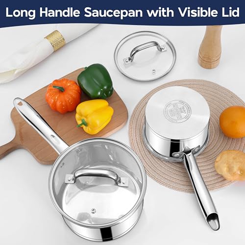 Stainless Steel Saucepan Set of 2 (1+3 Quart)