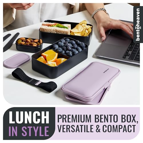 Bento Box Adult (Violet Me Go)