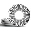 10" Black and White Striped Ceramic Plates Set of 6 (White plates with black stripes / 10 inch)