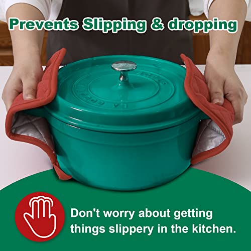 6 Pack Pot Holders for Kitchen Clearance (Spice / 6 pack)