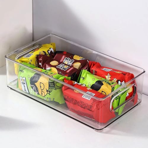 Large Clear Plastic Storage Bins (12.8 X 9.7 X 3.5)