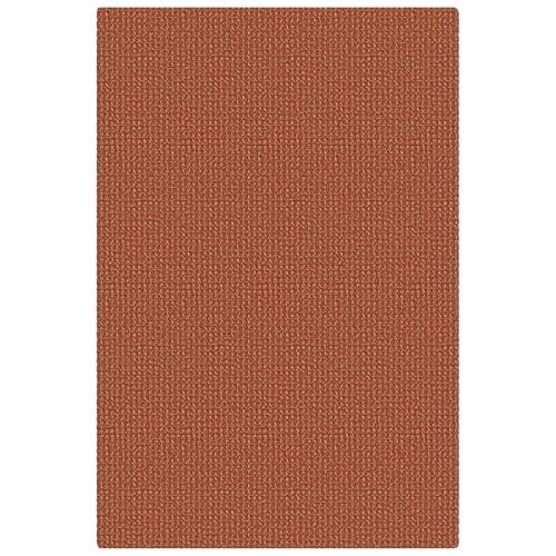Indoor Door Mat 2x3 ft Small Area Rugs Washable Front Door Mat Non Slip Rubber Backed Entryway Rug Cotton Entrance Doormat for Front Porch Kitchen Bedroom (Burnt Orange/Tan / 2' x 3' (Rectangular))