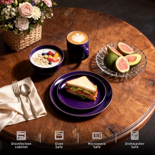 HomeVSS 20 Piece Dinnerware Set (Service for 4 - 20pc Set / Purple)