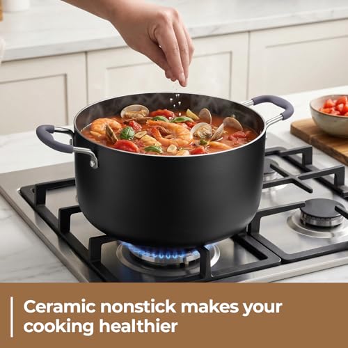 10 Quart Nonstick Stock Pot with Lid
