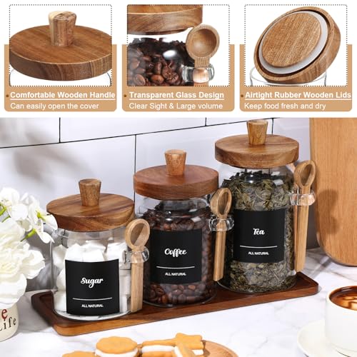3 Pcs Glass Coffee Container Set (13.5,20,25 oz)