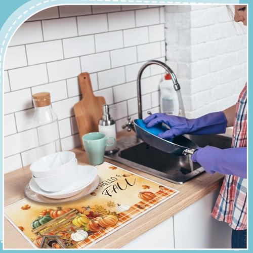 4 Pcs Seasonal Dish Drying Mats for Kitchen 24"x 16" Summer Holiday Microfiber Absorbent Washable Drainer Mat for Counter Spring Summer Fall Home Accessories Decoration