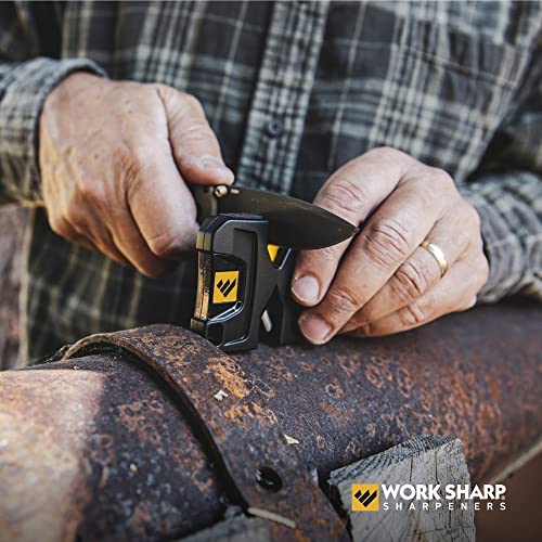 Portable Pivot Knife Sharpener (Pro)