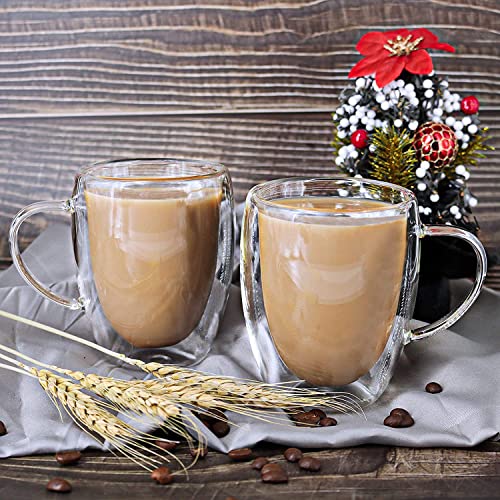 15 Oz Double Walled Glass Coffee Mugs (Glass lid / 15oz)