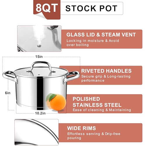 Stainless Steel Stock Pot (8 Quarts)