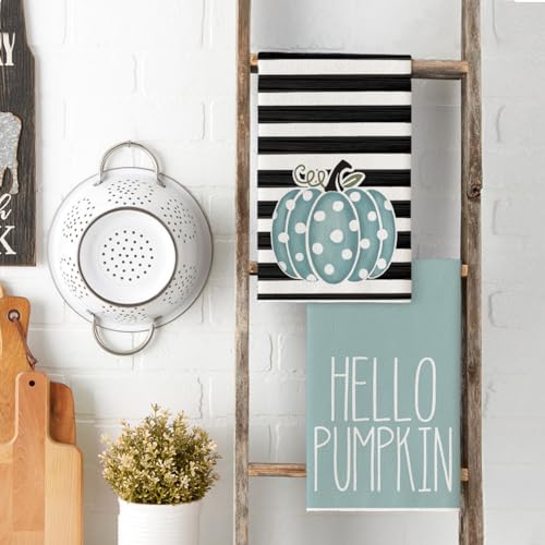 Blue Pumpkin Stripes Fall Kitchen Towels Set of 2 18x26 Inch (Blue)