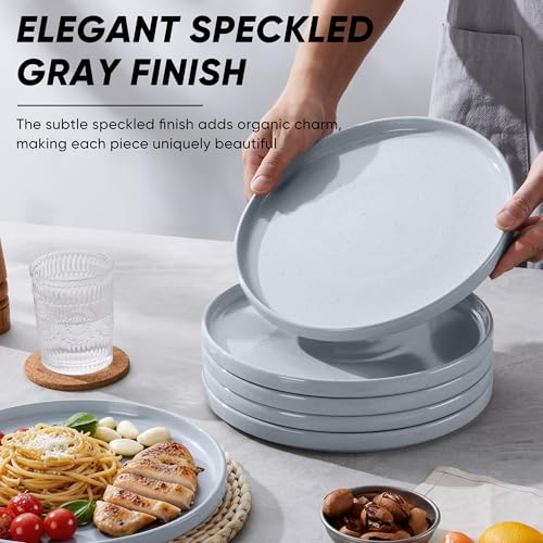 Dinner Plates Set of 6 (Haze Gray / 10.5'')