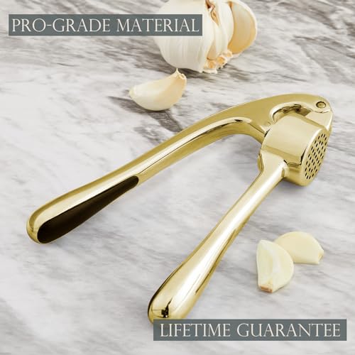 High Effective Garlic Press With Studs (Golden)