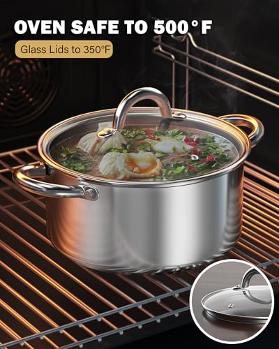 Basics 3 Quart Stainless Steel Stock Pot with Lid (3 Quarts / Silver)