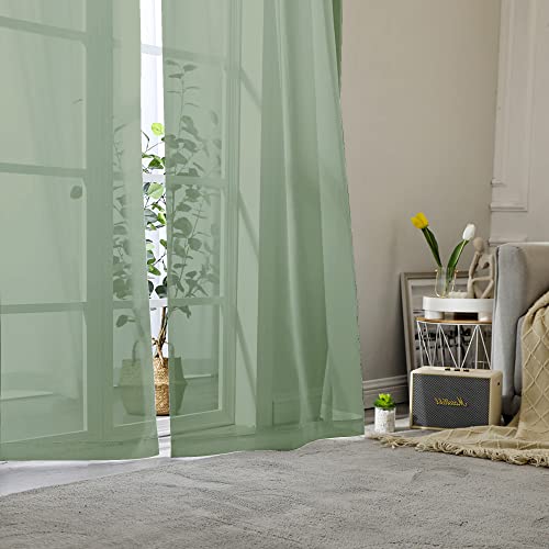 Sage Green Curtains Sheer (40"W x 54"L (Pack of 2) / Sage Green)