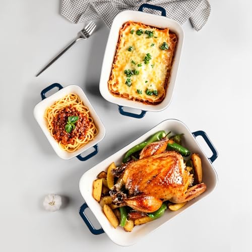 Sweejar Relief Casserole Dishes for Oven (Navy / 13x9 Casserole dishes set)