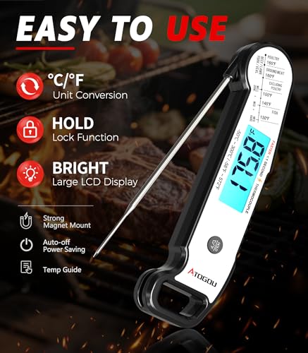 Professional Meat Thermometer Digital (Silver)