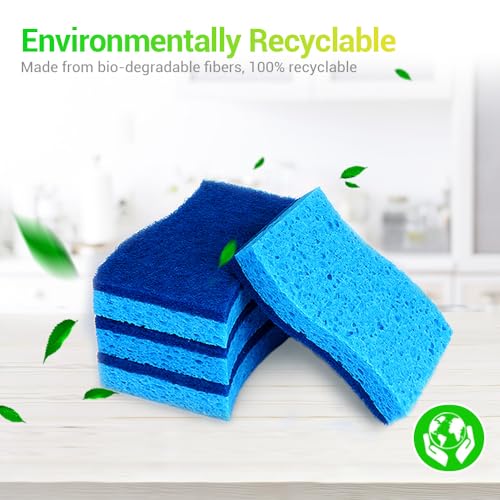 Sponges Kitchen (Blue)