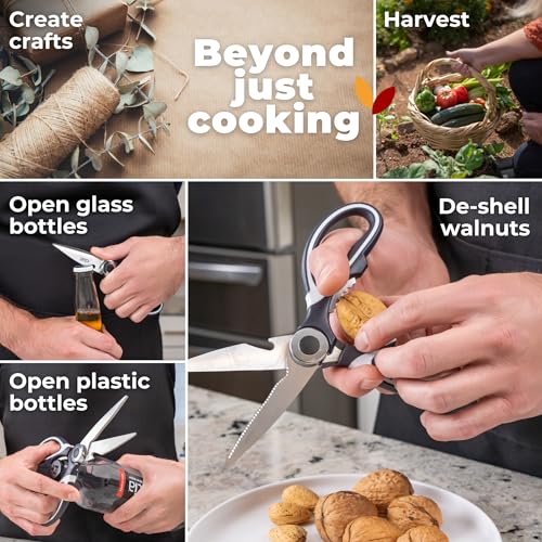 Kitchen Shears & Seafood Scissors Set