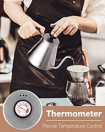Gooseneck Kettle with Thermometer for Pour Over Coffee and Tea (Silver)