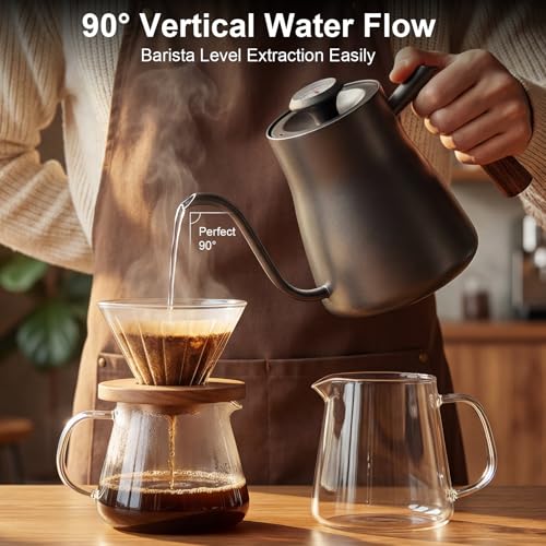 Pour over kettle with thermometer (0.9 Quarts)