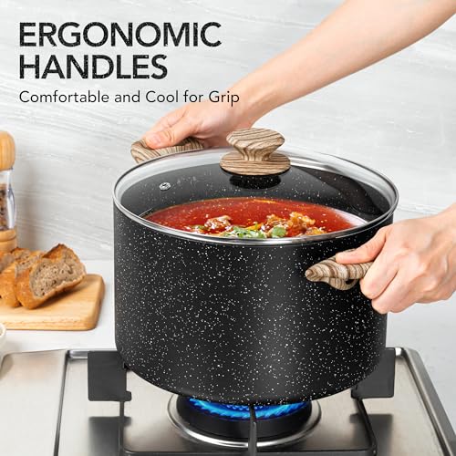 8 Quart Stock Pot with Lid (Black / 8 Quarts)