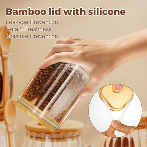 2 Pack Glass Jars with Lids and Spoons (16oz Square Glass)