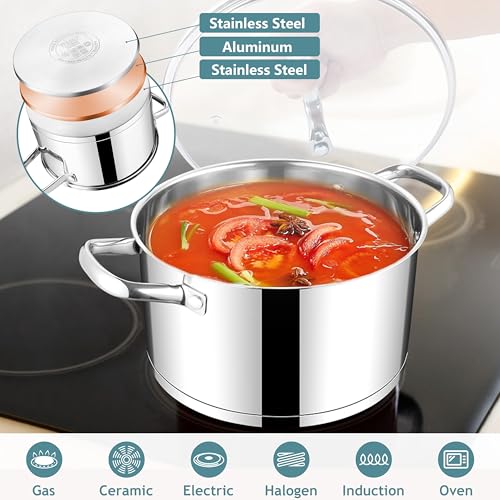 4 Quart Stock Pot with Lid (4 Quarts)