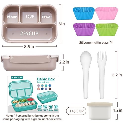 Bento Box Adult Lunch Box (Brown)