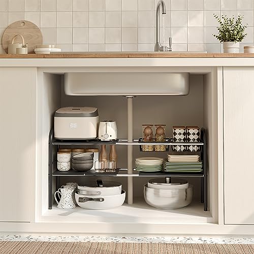 Under Sink Organizers and Storage (2 Tier-6 Panels / Black)