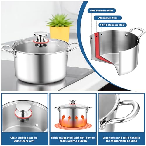 6 Quart Stock Pot (6 Quarts)