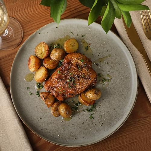 Coastal Forest Plates and Bowls Sets (Slate Grey (Coastal Forest) / Service for 4 (12pcs))