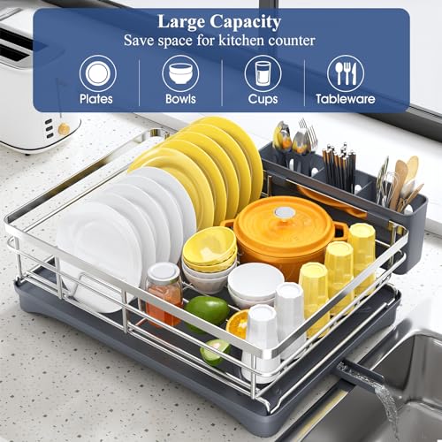 Dish Drying Rack for Kitchen Counter (Silver / Countertop)