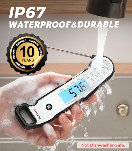 Professional Meat Thermometer Digital (Silver)