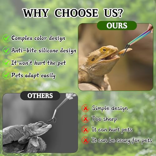 OLIISS Stainless Steel Reptile Feeding Tongs and Spoon Set (10.6"(with Spoon))
