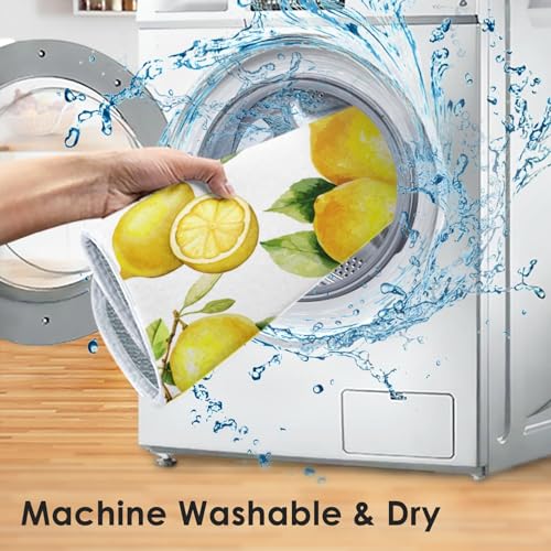 Absorbent Dish Drying Mat for Kitchen Counter (18" x 24" / Lemon 1)