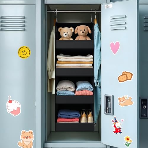4 Shelf Hanging Organizer (4-shelf Black / 1-Pack)