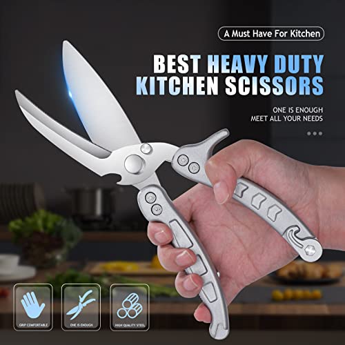 Poultry Shears (Silver)