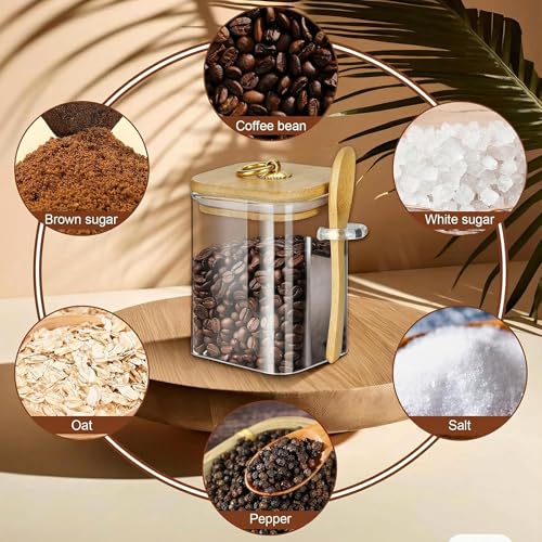 2 Pack Glass Jars with Lids and Spoons (16oz Square Glass)