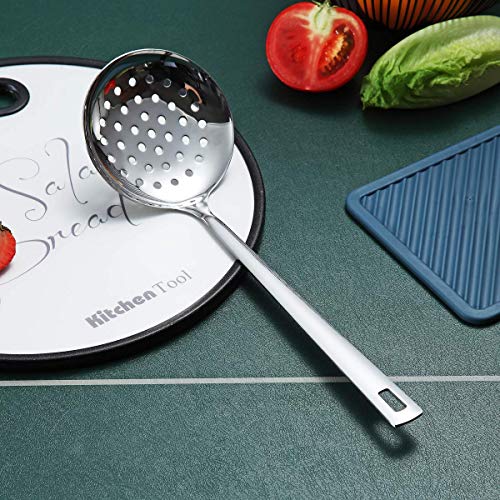 Stainless Steel Skimmer (H. Skimmer)