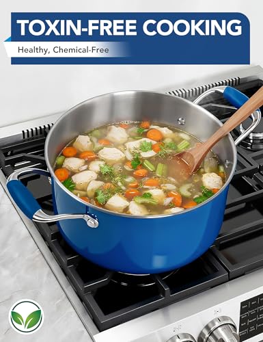 Stainless Steel Stock Pots (Blue)