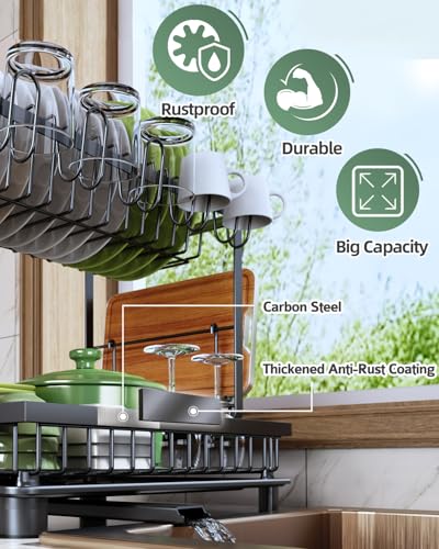 2 Tier Dish Drying Rack for Kitchen Counter (Black)